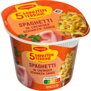 Maggi 5 Minuten Terrine Spaghetti in Schinkensauce 64g