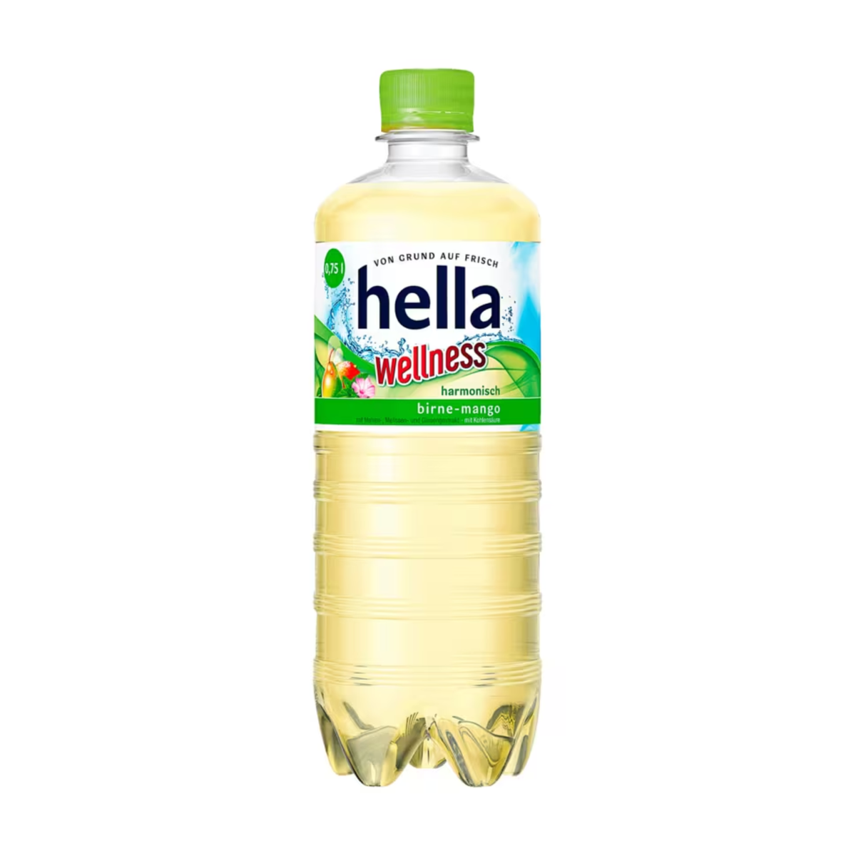 Hella Wellness 6X0,75l