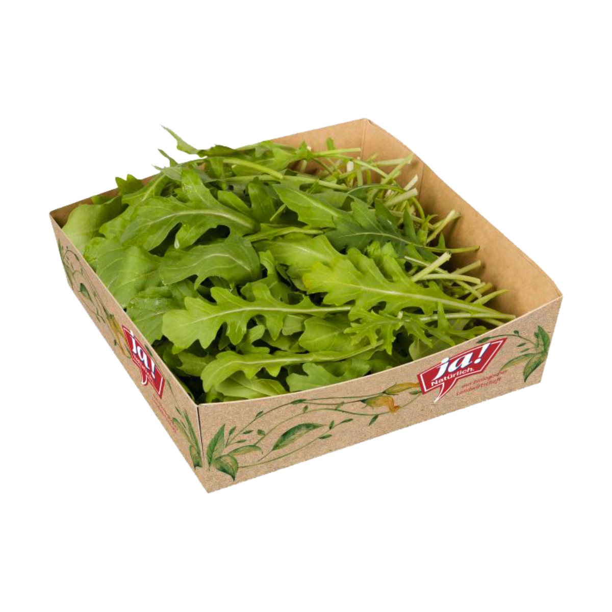 Bio Rucola in Scheiben 50% Fett i.Tr.6xca.160g
