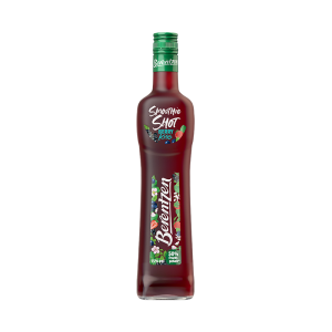 Berentzen Smoothie Shot Berry Kiss 15% 0,5l