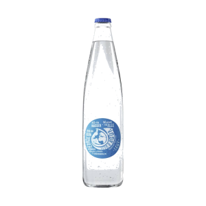 Viva Con Agua laut 18x0,5l DPG