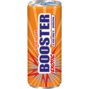 BOOSTER Exotic 24x0,33l DPG