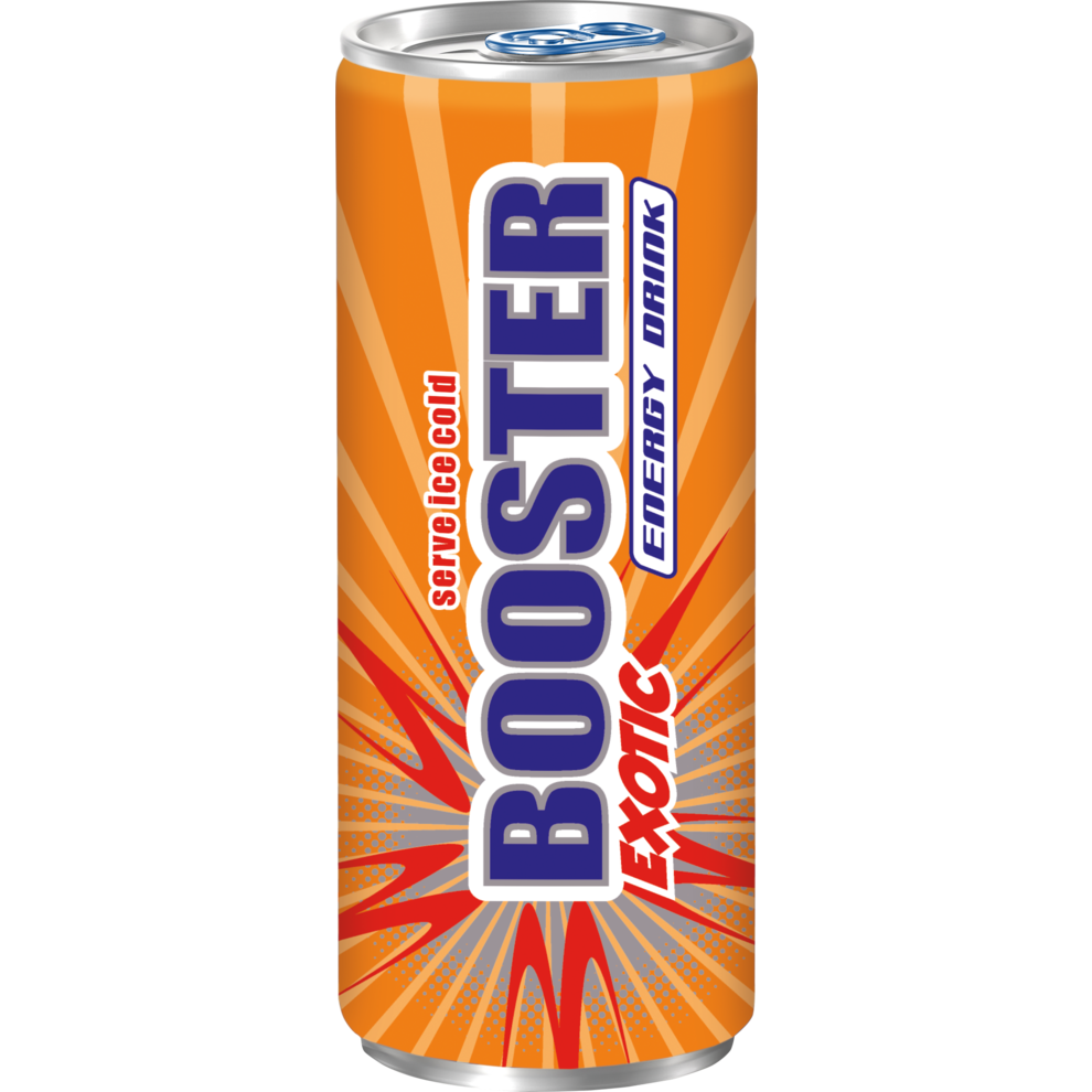 BOOSTER Exotic 24x0,33l DPG