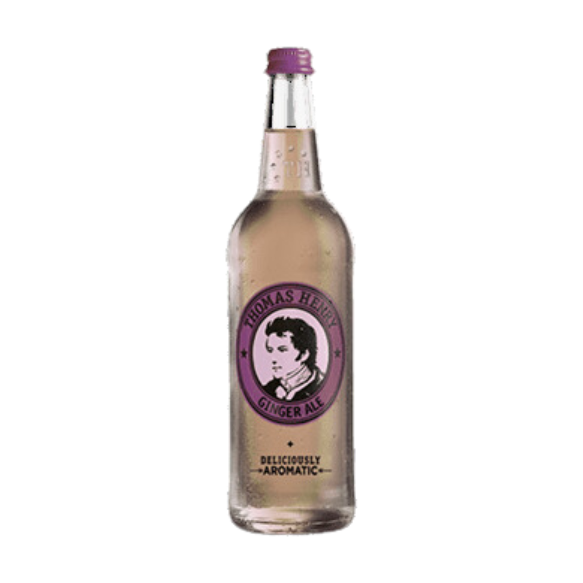 Th.Henry Ging.Ale 6x0,75l DPG