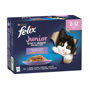Felix Junior so gut wie es aussieht Gemischte Vielfalt 12x85g