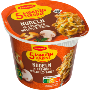 Maggi 5 Minuten Terrine Nudeln Waldpilz Sauce 56g