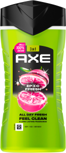 Axe Duschgel Epic Fresh 250ml