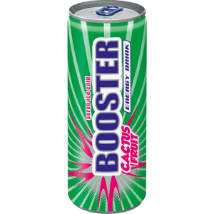 BOOSTER Kaktusfr.24x0,33l DPG