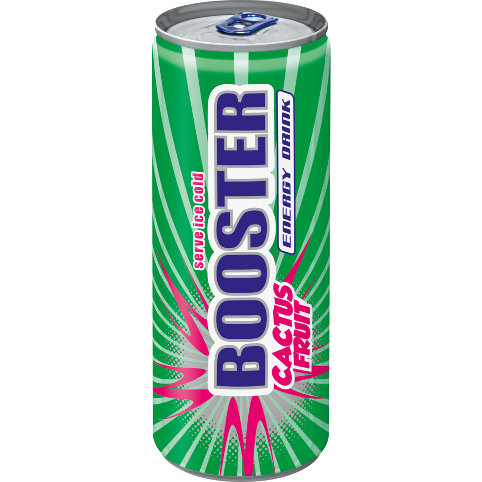 BOOSTER Kaktusfr.24x0,33l DPG