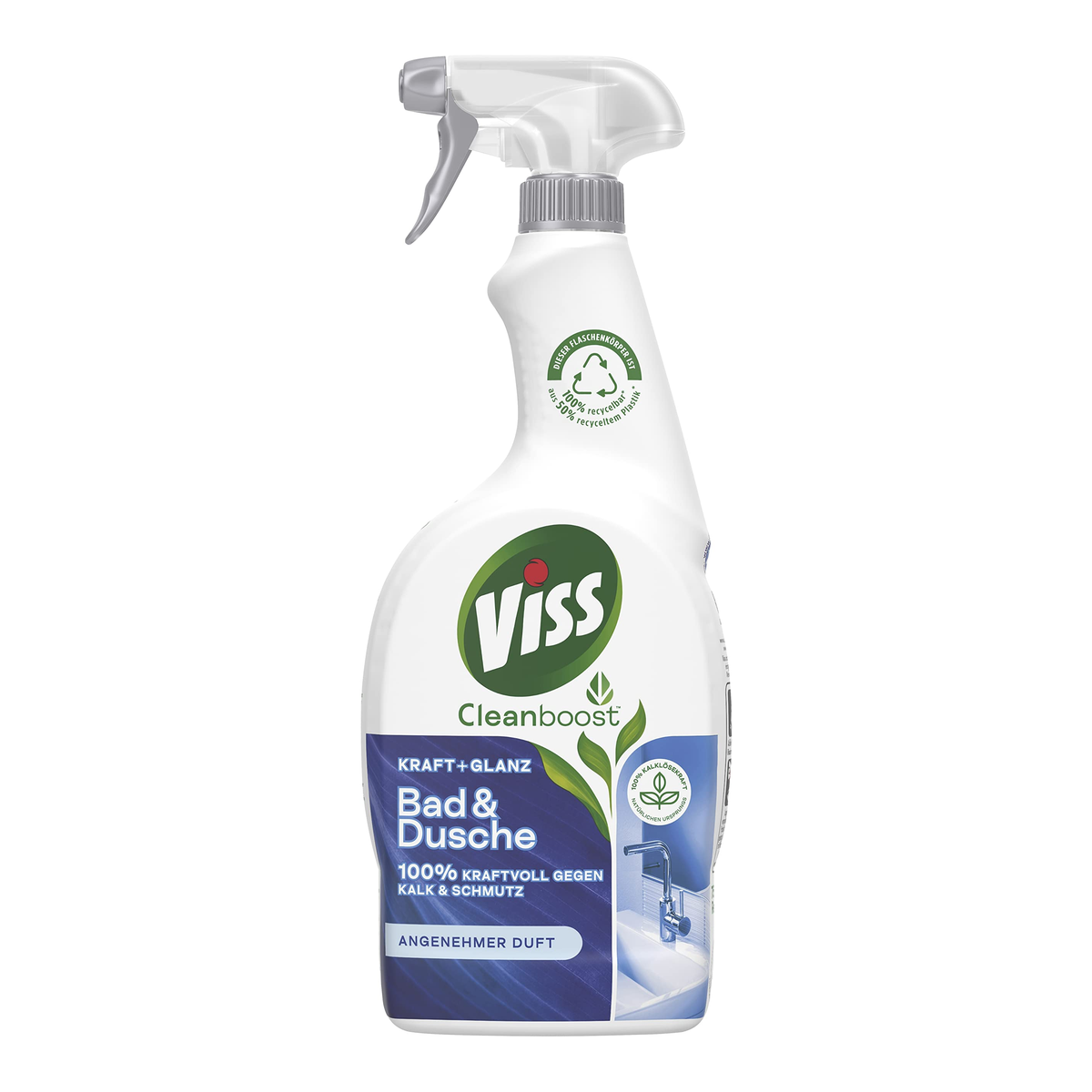 Viss Kraft&Glanz Bad&Dusche 750ml