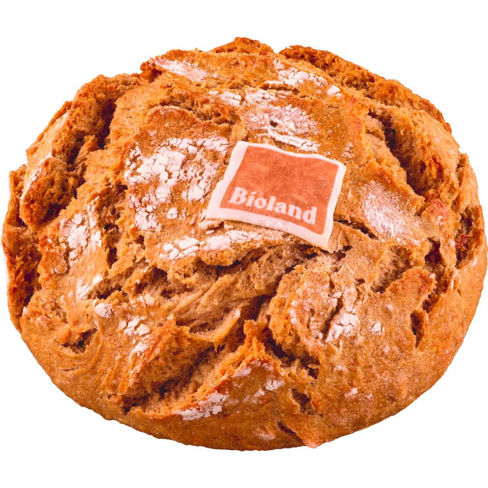 Bio EDEKA Bake Off Dinkelbrot 20x275g