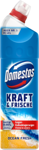 Domestos WC-Gel Kraft&Frische Ocean Fresh 750ml