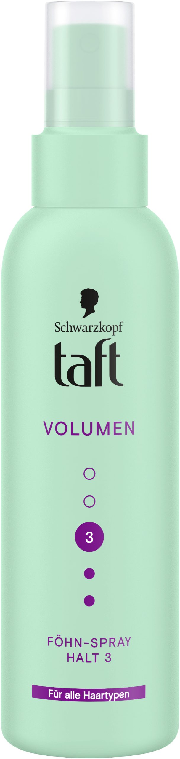 Taft Föhn-Spray Volumen 150ml