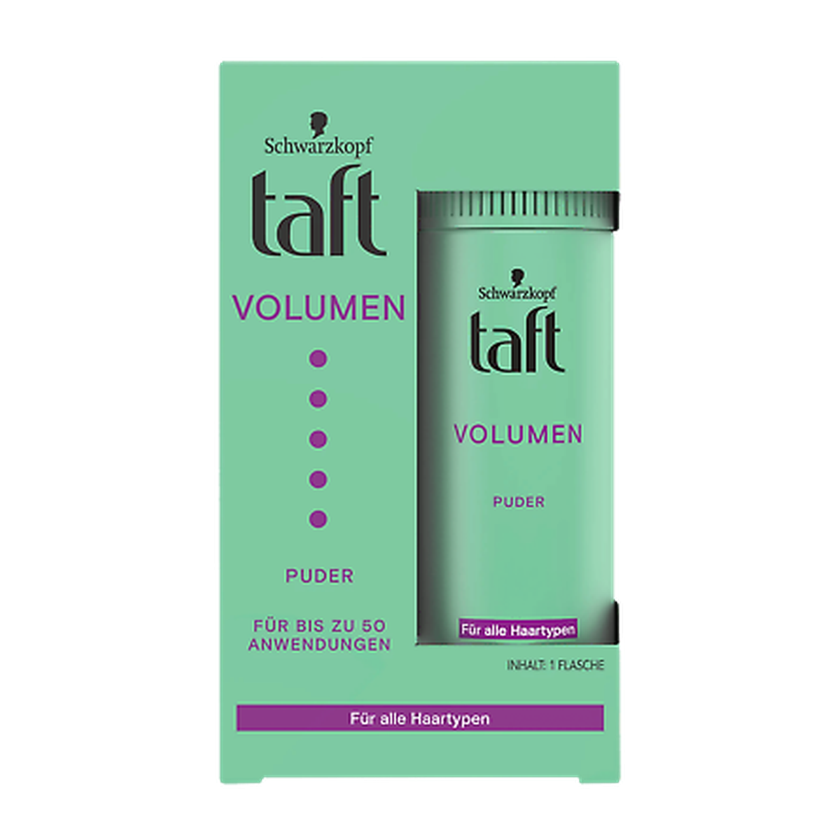 Taft Puder Volumen alle Haartypen 10g