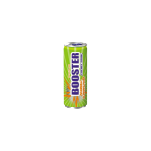 BOOSTER Cur.Holun.24x0,33l DPG