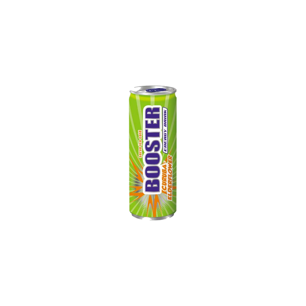 BOOSTER Cur.Holun.24x0,33l DPG