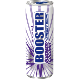 BOOSTER Blueb.Coco24x0,33l DPG