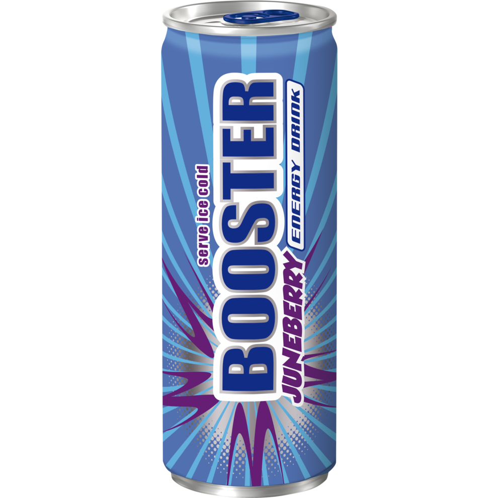 BOOSTER Juneberry 24x0,33l DPG