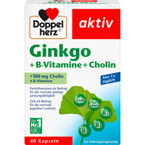 Doppelherz Ginkgo+B-Vitamine+Cholin 40Kapseln 22,4g