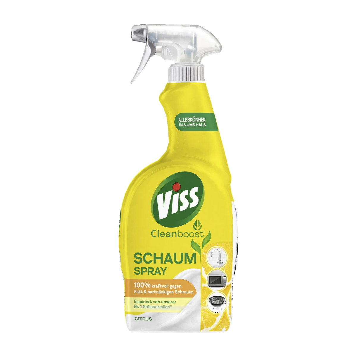 Viss Schaum Spray Citrus 750ml