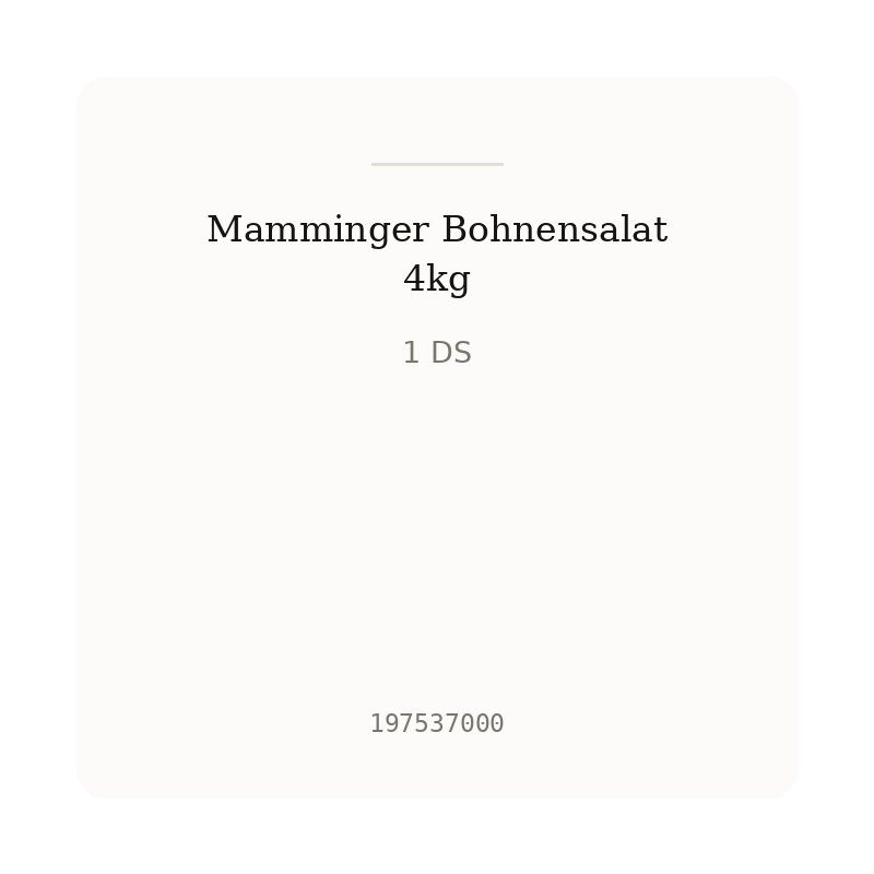 Mamminger Bohnensalat 4kg