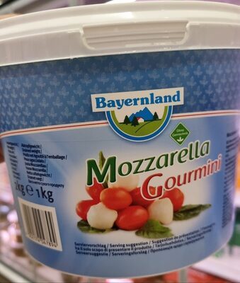 Bayernland Mozzarella Gourmini 45% Vollfettstufe 2kg