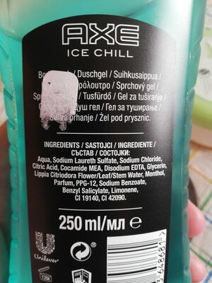 Axe Duschgel Ice Chill 250ml