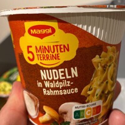 Maggi 5 Minuten Terrine Nudeln Waldpilz Sauce 56g
