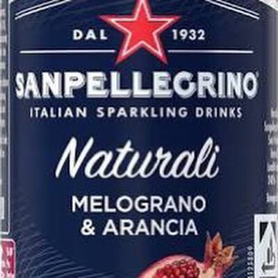 S.Pell.Melo.&Aran.24x0,33l DPG