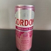 Gord.P.Gin&Ton.10%12x0,25l DPG