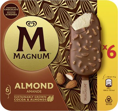 Langnese Magnum Mandel 6x100ml