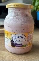 Landliebe Joghurt mit erlesenen Brombeere 3,8% 500g MW