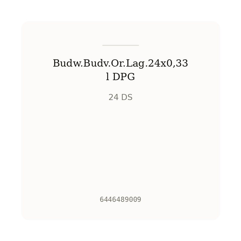 Budw.Budv.Or.Lag.24x0,33l DPG