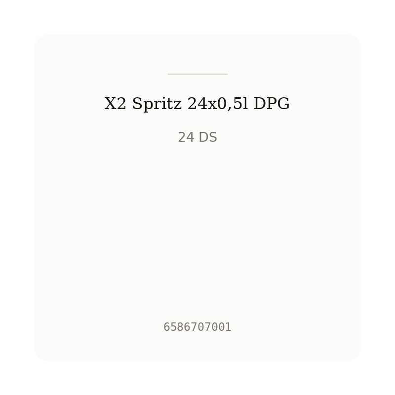 X2 Spritz 24x0,5l DPG