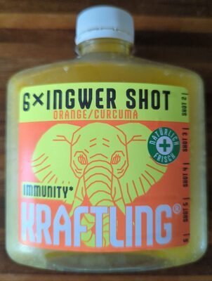 Kraftling Großer Ingwer Shot Orange-Curcuma 0,36l DPG