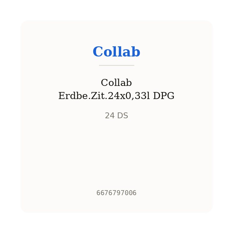 Collab Erdbe.Zit.24x0,33l DPG