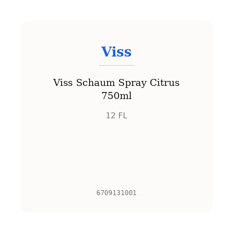 Viss Schaum Spray Citrus 750ml