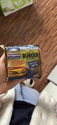 Hochland Burger Scheiben herzhaft würzig 36% 200g