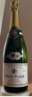 Grand Plaisir Champagner Frankreich 0,75l