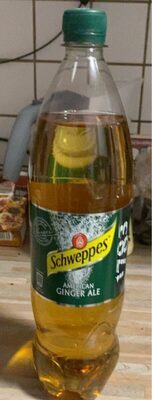Schwepp.Ginger Ale 6X1,25l